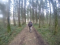 image3.3