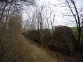 image6.1
