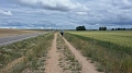 image82.3