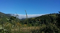 image93.2
