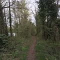 image11.2
