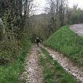 image12.2
