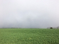 image9.2