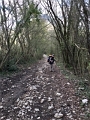image9.3