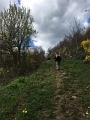 image9.4