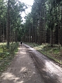 image23.3