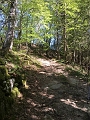 image37.1