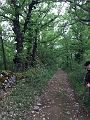 image44.2