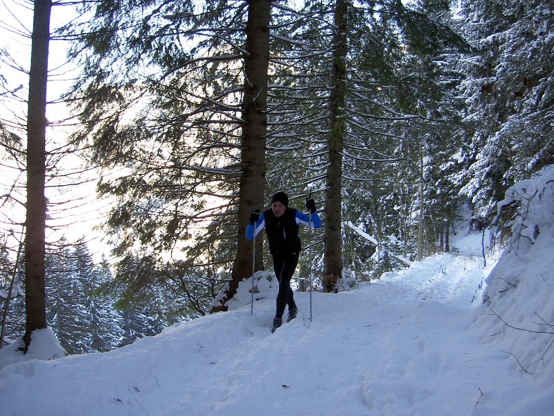 IMG_4637.5.JPG