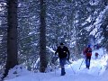 IMG_4637.8