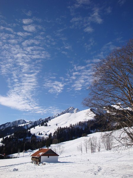DSC00203.JPG