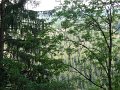 DSC01694