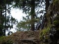 DSC01707