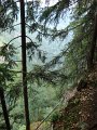 DSC01708
