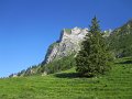IMG_2489