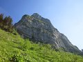 IMG_2494