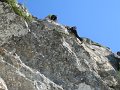 IMG_2512