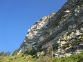 IMG_2522