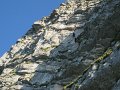 IMG_2523