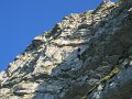 IMG_2524