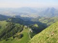 IMG_2526