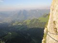 IMG_2544