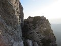 IMG_2554