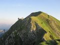 IMG_2558