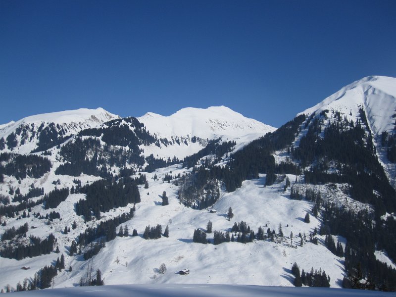 IMG_4595.jpg
