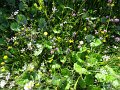 DSC00171