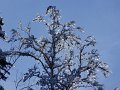 DSC05017