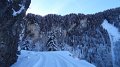 DSC05020