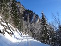 DSC05023
