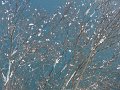 DSC05043