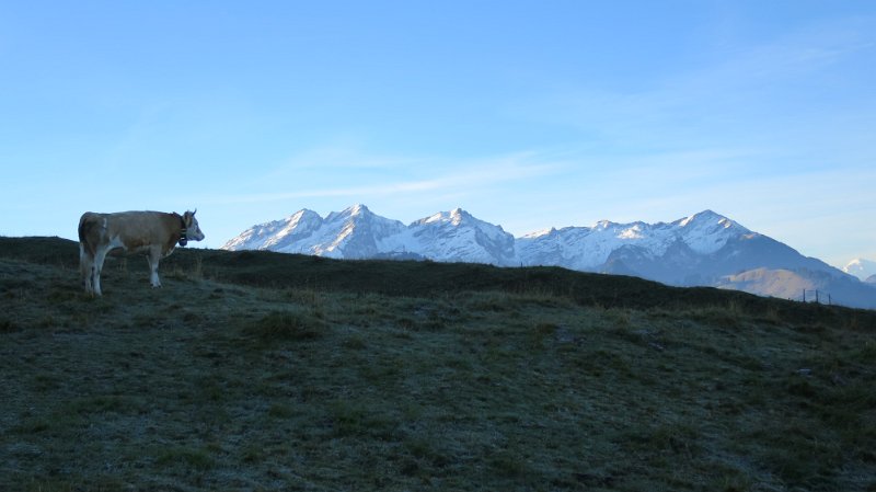 IMG_0640.JPG