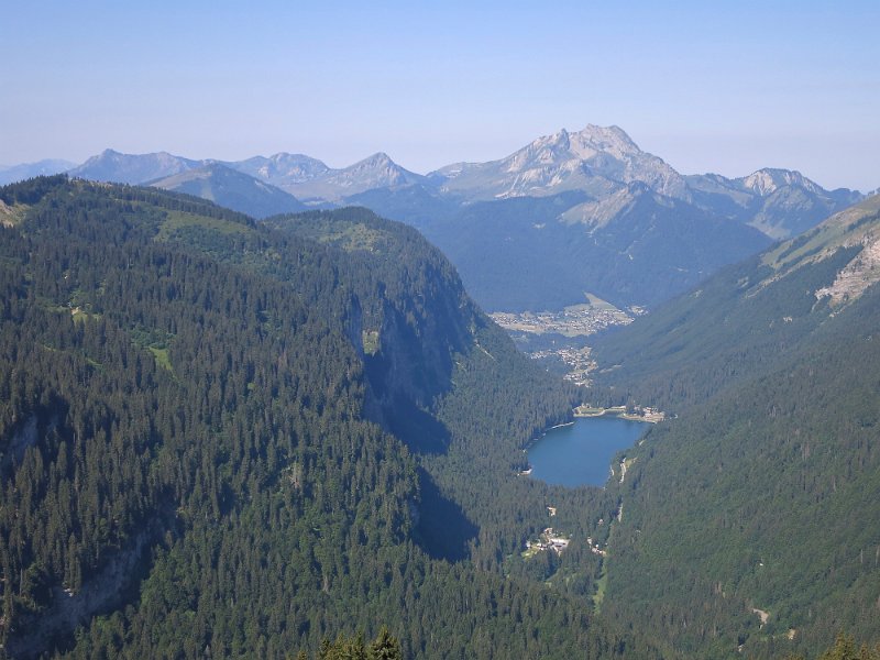 IMG_2006.jpg