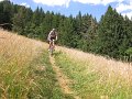 IMG_2047