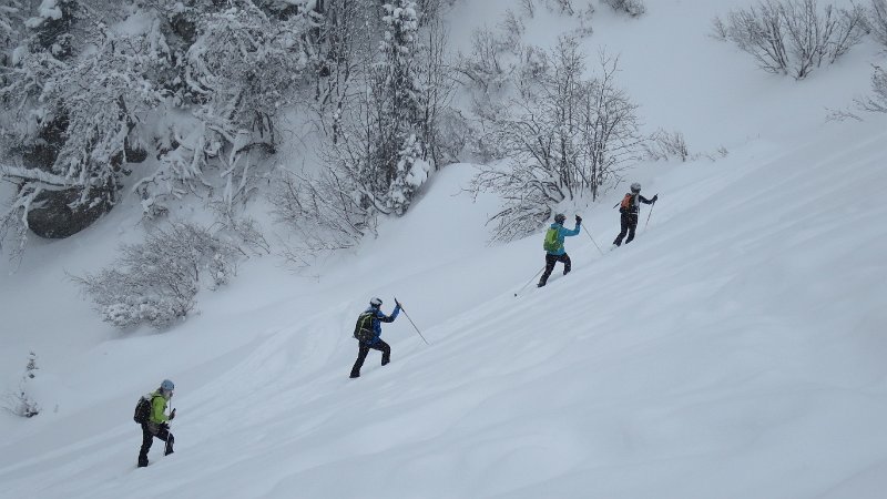 IMG_1086.JPG