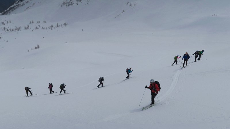 IMG_1616.jpg