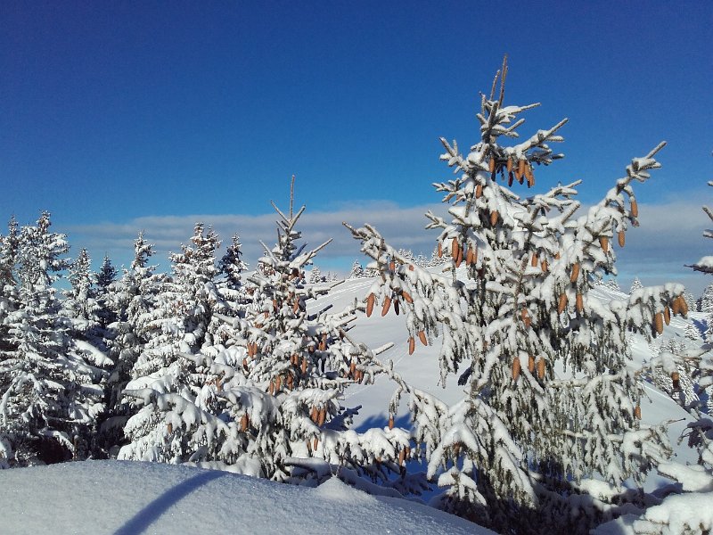 20170115_095041.jpg