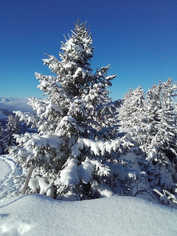 20170115_095119.jpg