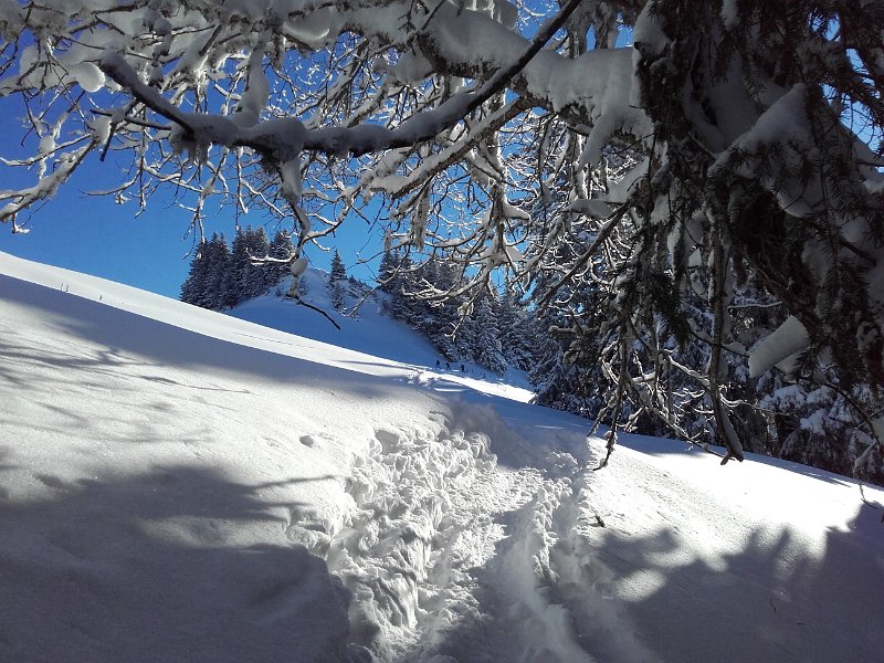20170115_100643.jpg