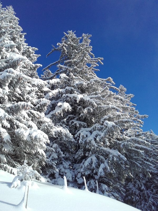 20170115_102131.jpg