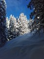 20170115_090357