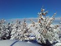 20170115_095041