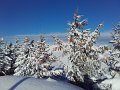 20170115_095045