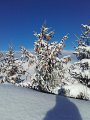 20170115_095100