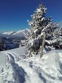 20170115_095130