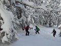 20170115_100818