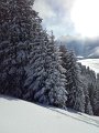20170115_102049
